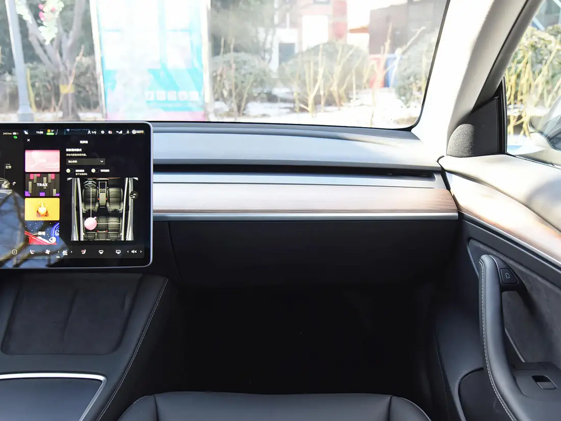 Tesla Model 3 1-е поколение · 2015–2022, фото 12
