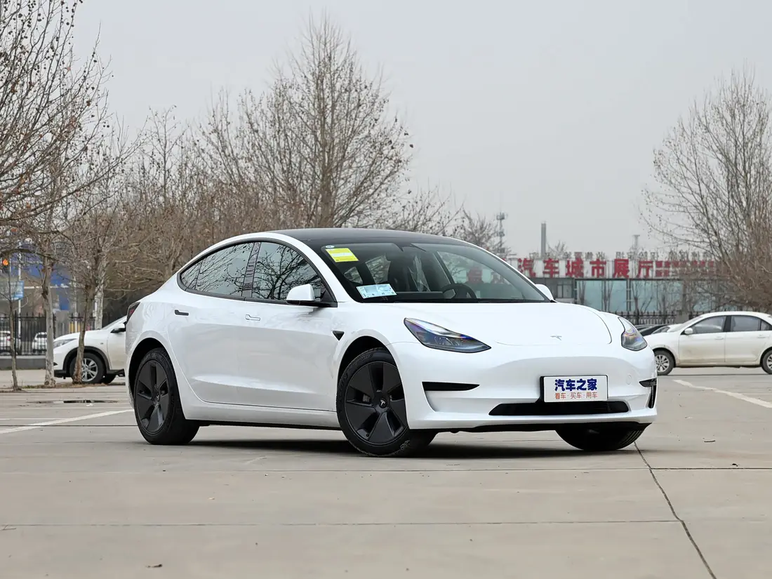 Tesla Model 3 1-е поколение · 2015–2022, фото 3