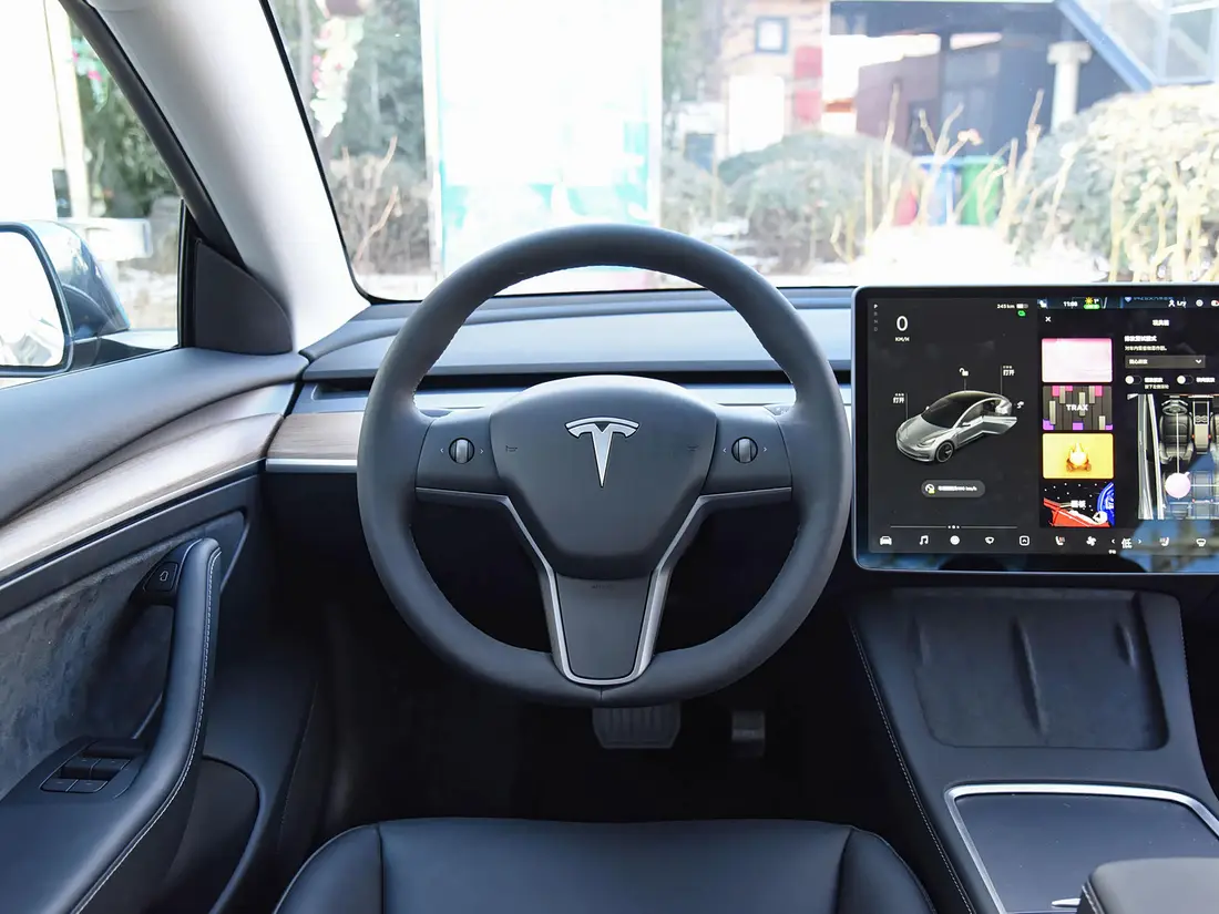 Tesla Model 3 1-е поколение · 2015–2022, фото 10