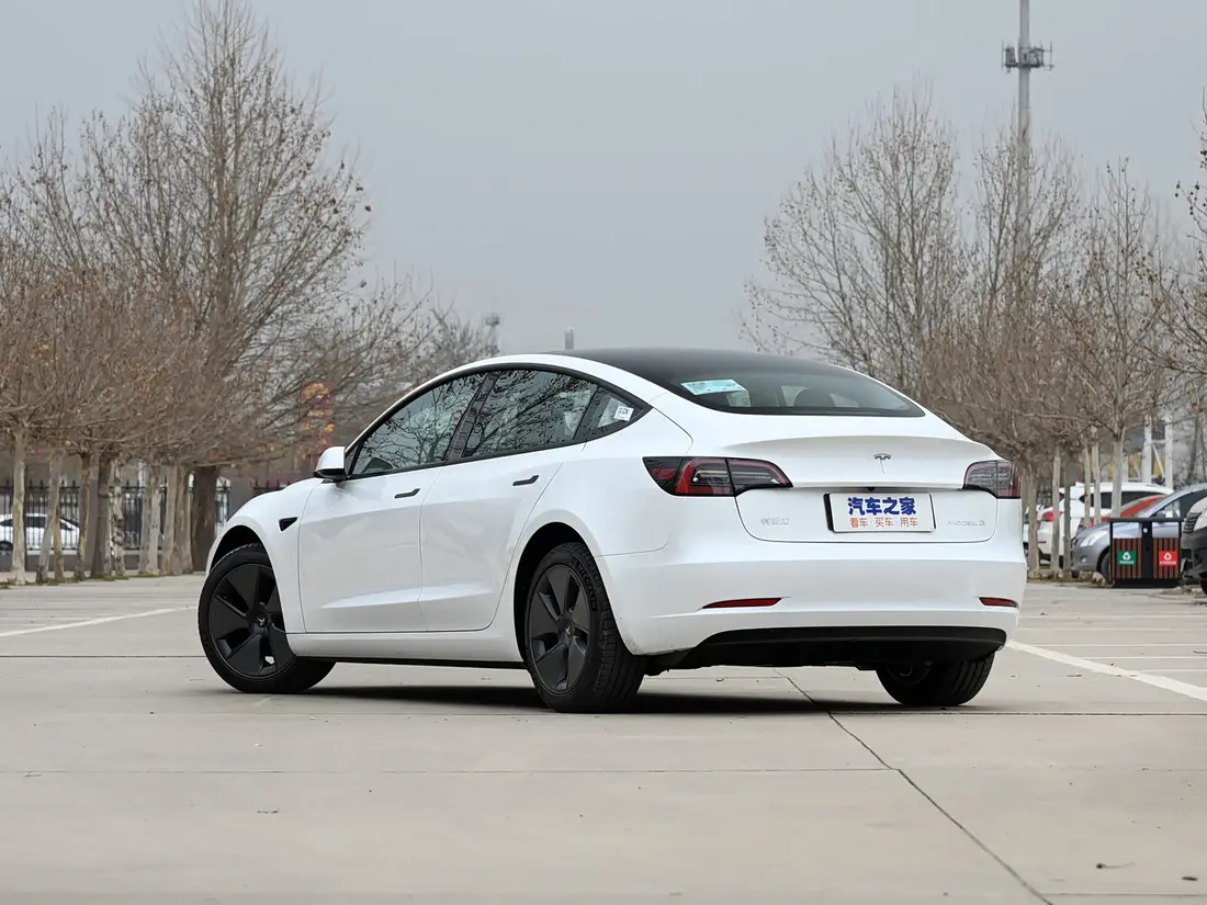 Tesla Model 3 1-е поколение · 2015–2022, фото 5