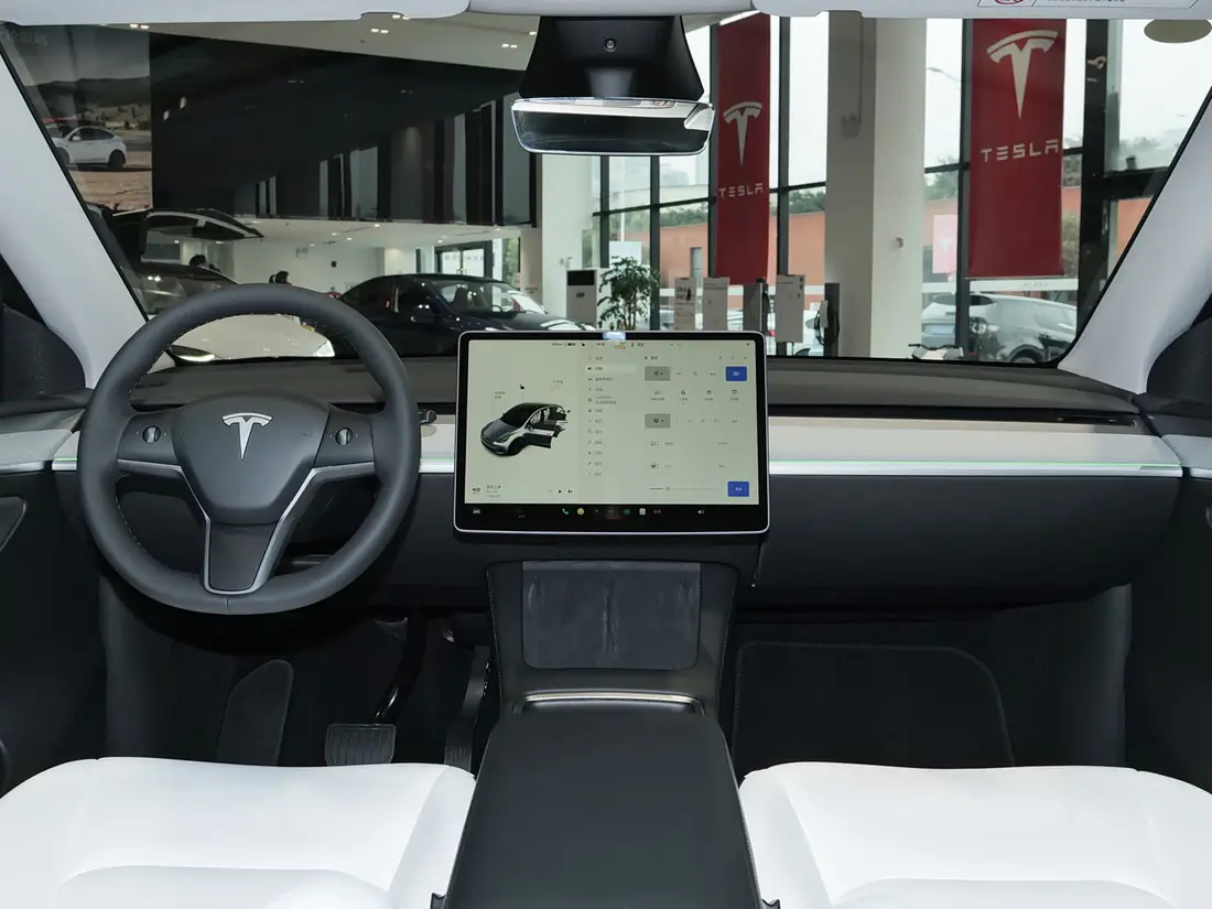 Tesla Model Y 1-е поколение · 2015–2024, фото 11