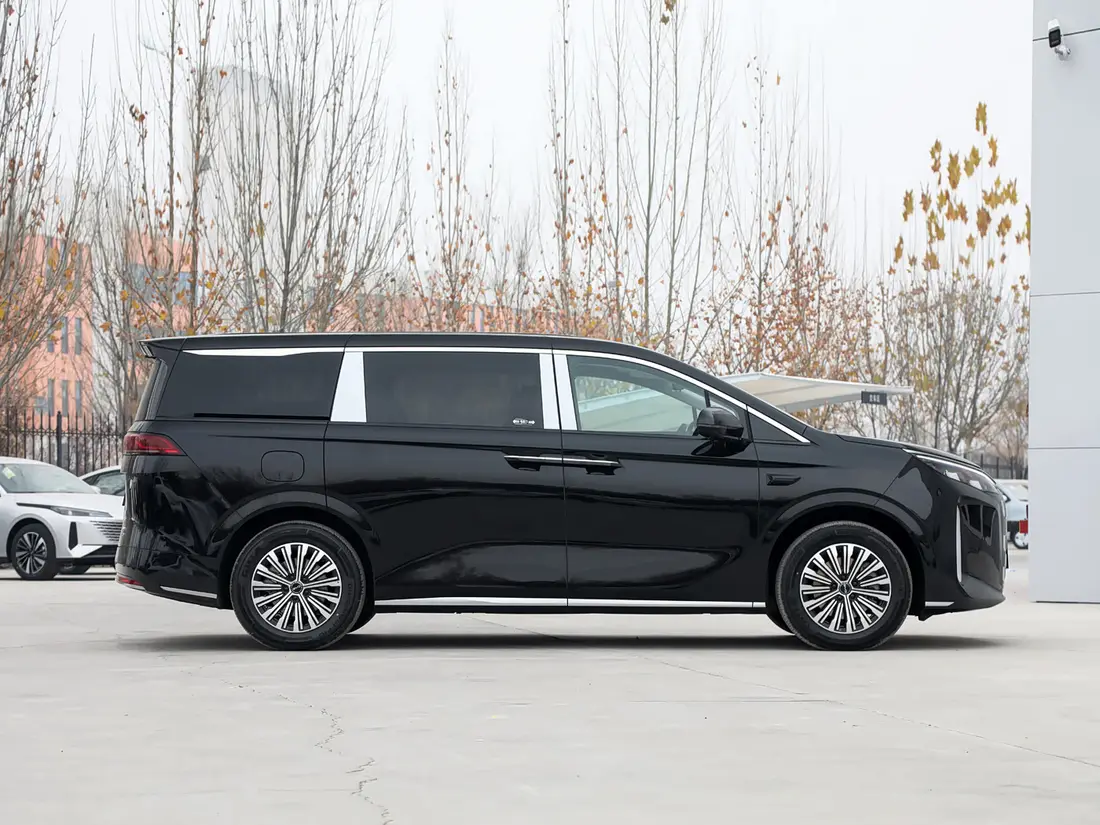BYD M9 2025, фото 8